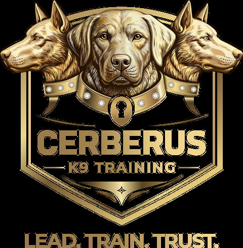 Cerberus K9 Training logo featuring three dog heads in gold with studded collars and keyhole emblem on black background